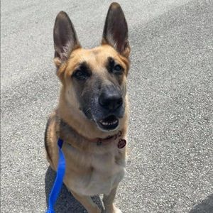 Meet your Posher, Liz